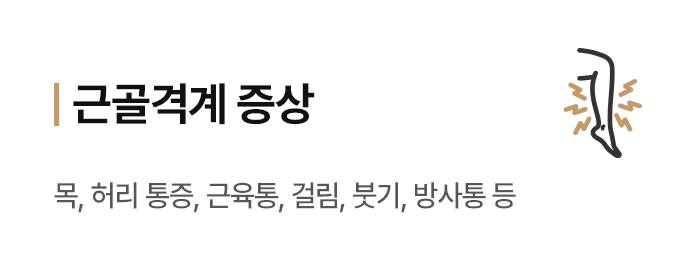 근골격계 증상
